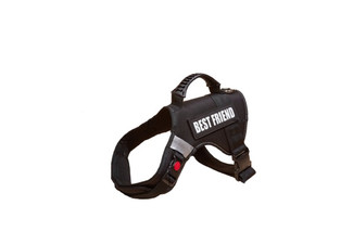 Pet Belt Harness - Three Sizes Available