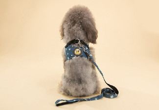 Pet Star Vest - Two Sizes Available
