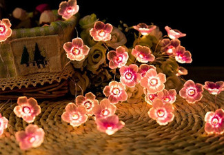 LED Flower Shaped Fairy Lights - Two Colours & Two-Pack Available