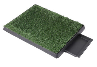 PaWz Pet Grass Potty Training Pad - Two Sizes Available