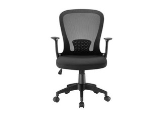 Lumbar Support Mesh Office Chair - Two Colours Available