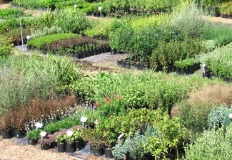 Garden Furniture Vouchers perfect garden furniture vouchers cashback intended decorating ideas Garden Furniture Vouchers perfect garden furniture vouchers cashback intended decorating ideas