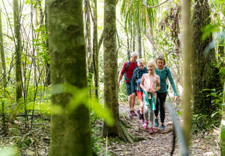 Queen Charlotte Track Day Walk with Cougar Line Cruise Transfers - Walk Furneaux Lodge to Punga Cove Resort - Options for Adult or Child