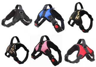 No-Pull Adjustable Dog Harness - Six Colours & Four Sizes