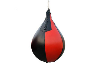 Hanging Punch Ball