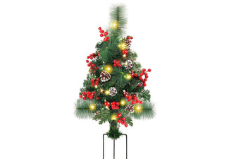 Outdoor Christmas Tree with LED Light