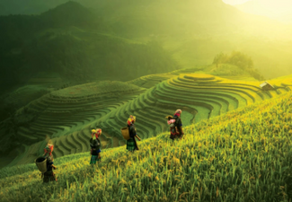 Eastern Horizons - Per Person Twin-Share 15-Night Cruise from Singapore to Tokyo Onboard Seabourn Encore incl. Return Flights from Auckland, Two Nights Accommodation & More - Options for Veranda or Penthouse Suite