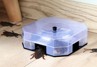 Three-Pack Cockroach Trap