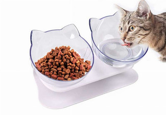 Double Elevated Tilted Cat Bowls with Raised Stand - Five Options Available