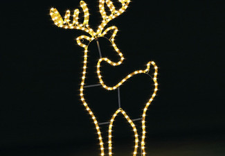 Solight Reindeer Christmas Light