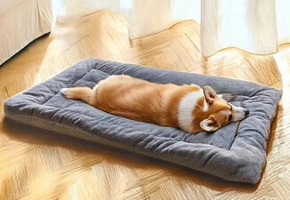 Comfortable Pet Dog Bed Mat - Available in Two Sizes