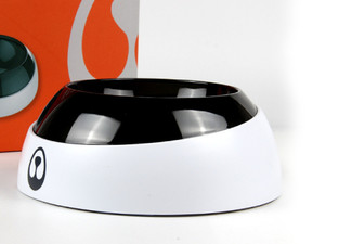 15-Degree Angle Elevated Pet Bowl - Two Options Available
