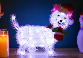 Christmas LED Pet String Lights Range - Available in Three Styles