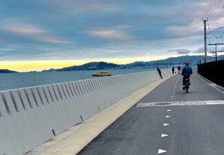 The Ultimate Wellington Bays & Petone Full-Day eBike Adventure - Options for Two & Four People