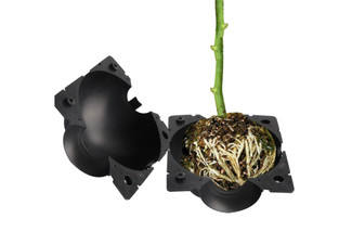Five-Pack of Plant Rooting Devices - Two Colours  & Three Sizes Available