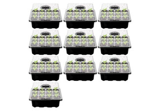 10-Pack Seed Starter Kit