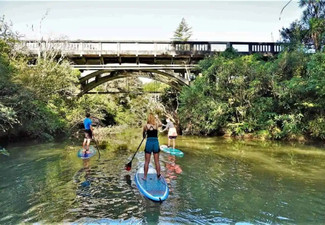 Lucas Creek Waterfall SuP Tour for One Adult