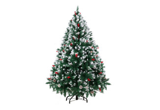 Pre-Order Six-Foot Christmas Tree with Snow Design - Option for Seven-Foot