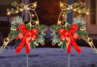 30LED Christmas Reindeer Lights - Option for Two-Piece