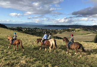 Exclusive One-Hour Horse Trek Experience in Waiheke for One Person