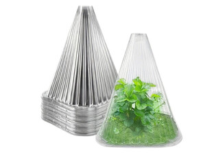 50-Pack Clear Plant Seedling Protection Cover
