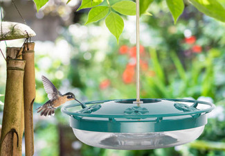 Outdoor Hanging Hummingbird Feeder
