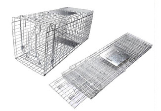 Collapsible Possum Cage Trap - Three Sizes Available