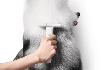 Pidan Pet Deshedding Tool - Elsewhere Pricing $34.90