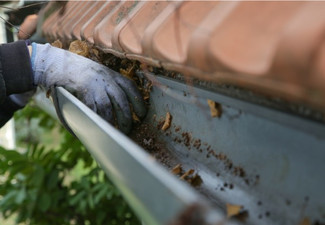 Gutter Cleaning Service - Eight Options Available