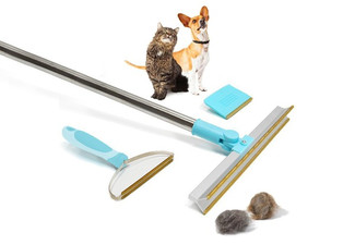 Three-Piece Pet Hair Remover Set