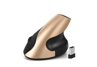 2.4g Rechargeable Wireless Ergonomics Mouse Compatible with Laptop/ PC Gold
