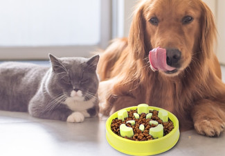 Anti Choke Pet Food Bowl