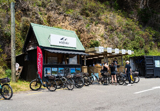 Four-Hour Mountain Bike Hire at Wildfinder Pencarrow