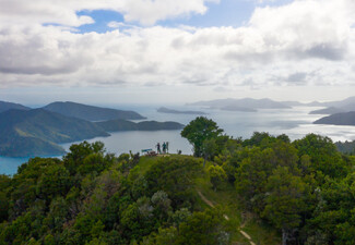 Queen Charlotte Track Day Walk with Cougar Line Cruise Transfers - Walk Punga Cove Resort to Eatwells Lookout - Options for Adult or Child