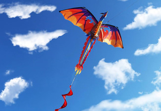 Stereoscopic Dragon Kite