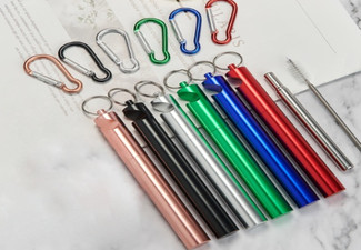 Collapsible Metal Straw with Aluminium Key-Chain Case & Cleaning Brush - Six Colours Available
