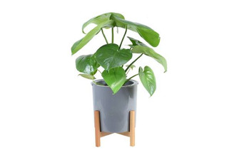 Modern Grey Plastic Plant Pot with Wooden Stand - Three Sizes Available