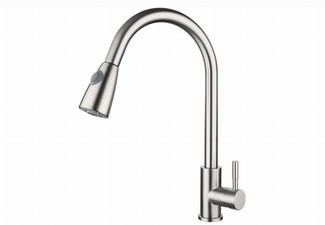 Kitchen Faucet with Pull-Down Sprayer