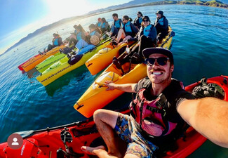 2.5 - 3 Hour Guided Kaikoura Seal & Marine Life Kayaking Experience for Up to Four Adults