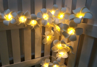 Frangipani Flower String Lights - Option for Two
