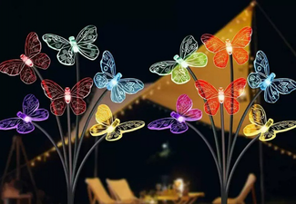 Solar Butterfly Lights - Option for Two