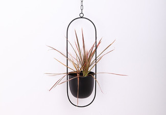 Oval Metal Plant Hanger - Two Colours Available