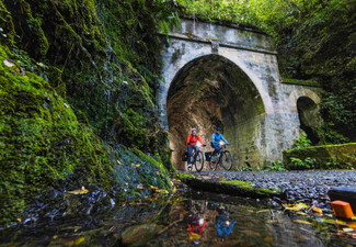 Four-Hour Mountain Bike Hire at Wildfinder Kaitoke