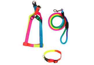 Two-Pack Pet Harness, Collar & Leash - Three Sizes Available
