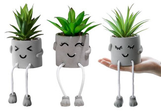 Faux Succulent Plant Pot - Three Styles Available & Option for Two-Pack