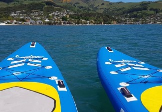One-Hour Stand Up Paddleboard Hire - Option for One-Hour Big Board Hire