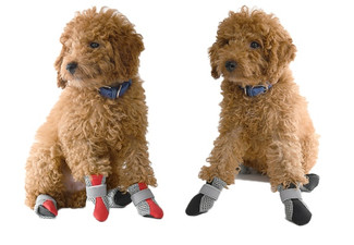 Breathable Pet Boots - Three Colours Available & Option for Two-Pack
