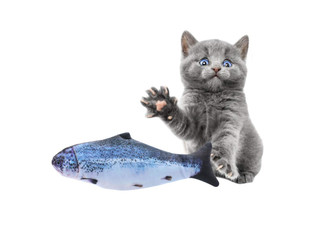 Electric Fish Cat Toy
