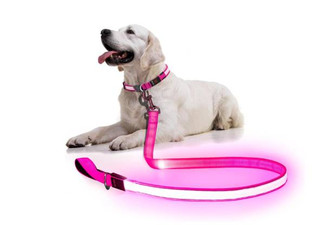 USB Rechargeable LED Dog Leash - Available in Three Colours & Option for Two