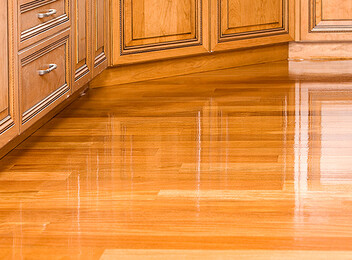 Floor Refinish Service